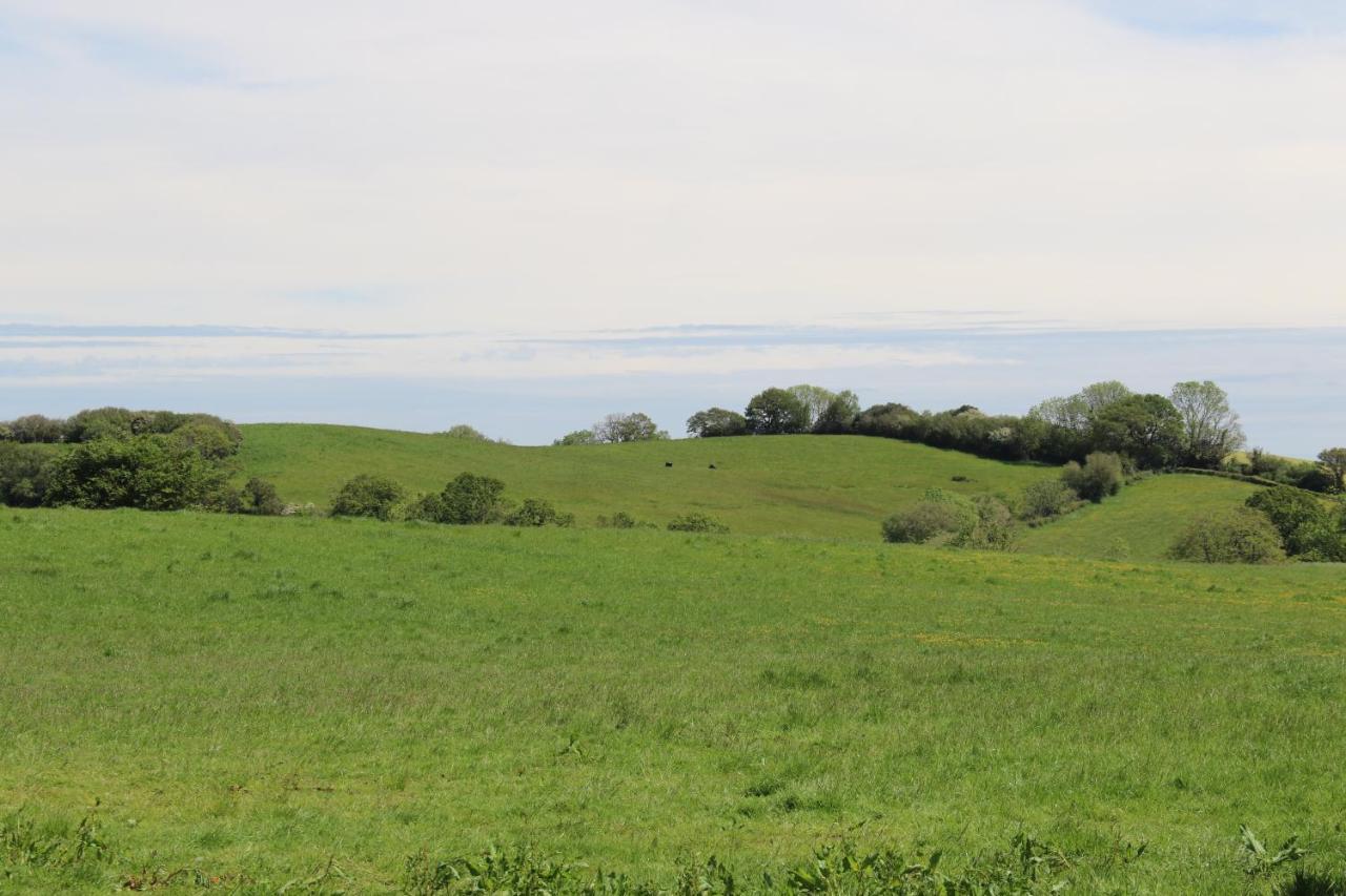 Knapp Farm Glamping Lodge 1 Corscombe Esterno foto