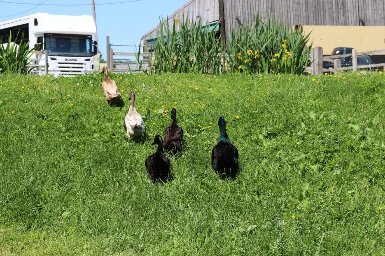 Knapp Farm Glamping Lodge 1 Corscombe Esterno foto